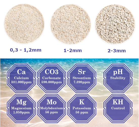 Aragonite Natural sand D. van Houten Import Export BV