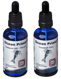 DVH Aquatic Ocean Prime Liquid 2mm - 50ml 8